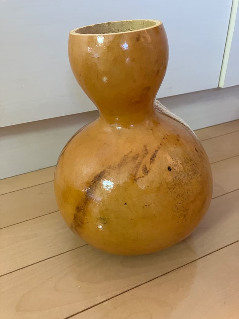 イプ　楽器　フラダンス