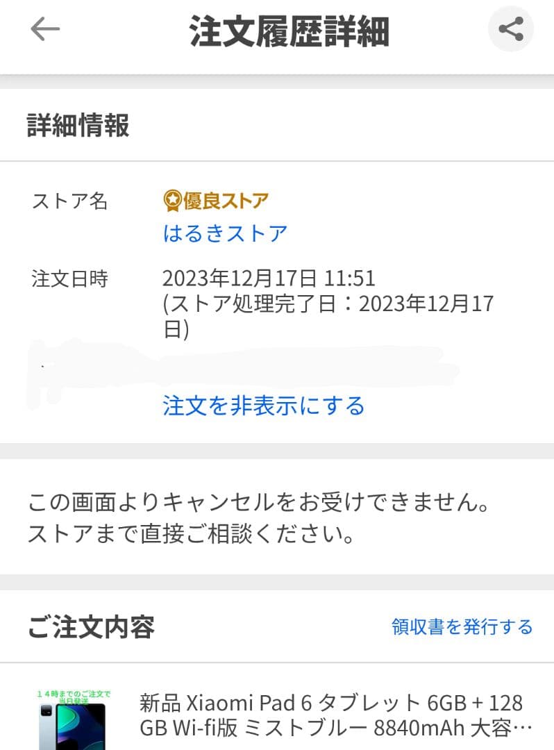 Xiaomi Pad 6 6G 128GB 国内版 ミストブルー