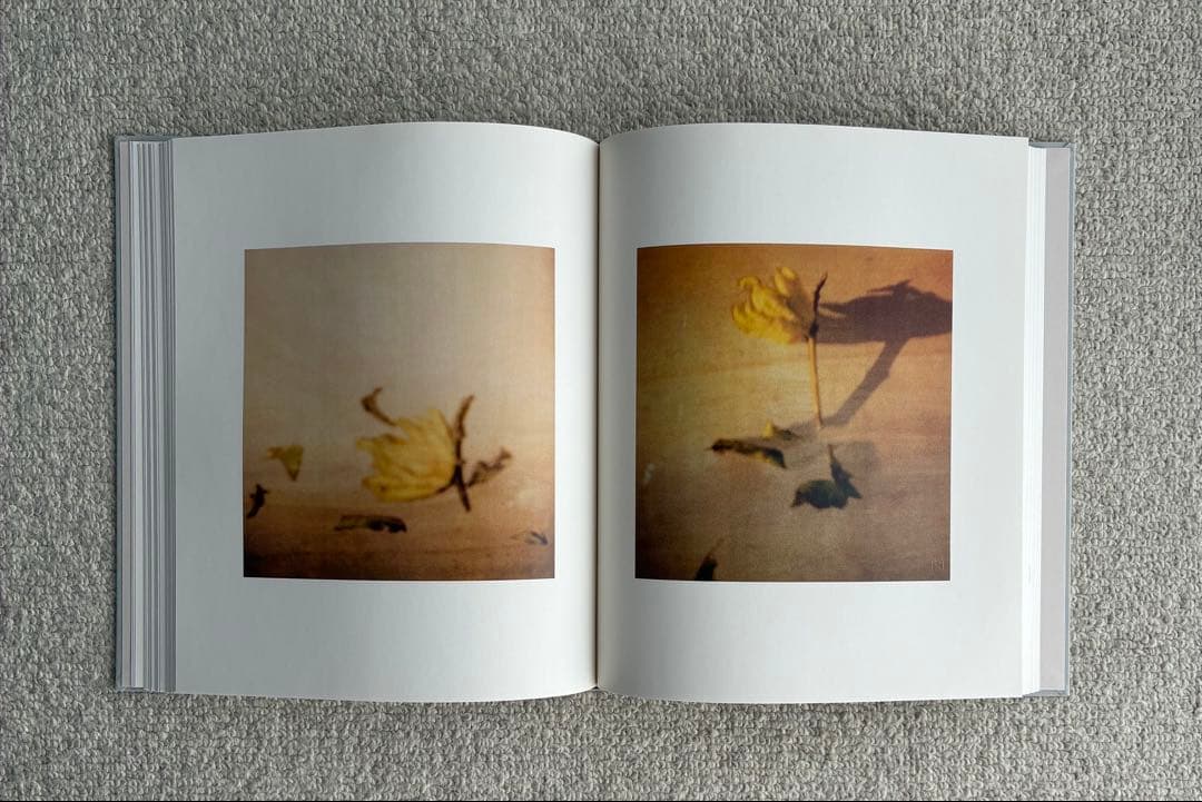 アート・デザイン・音楽 Cy Twombly Photographs