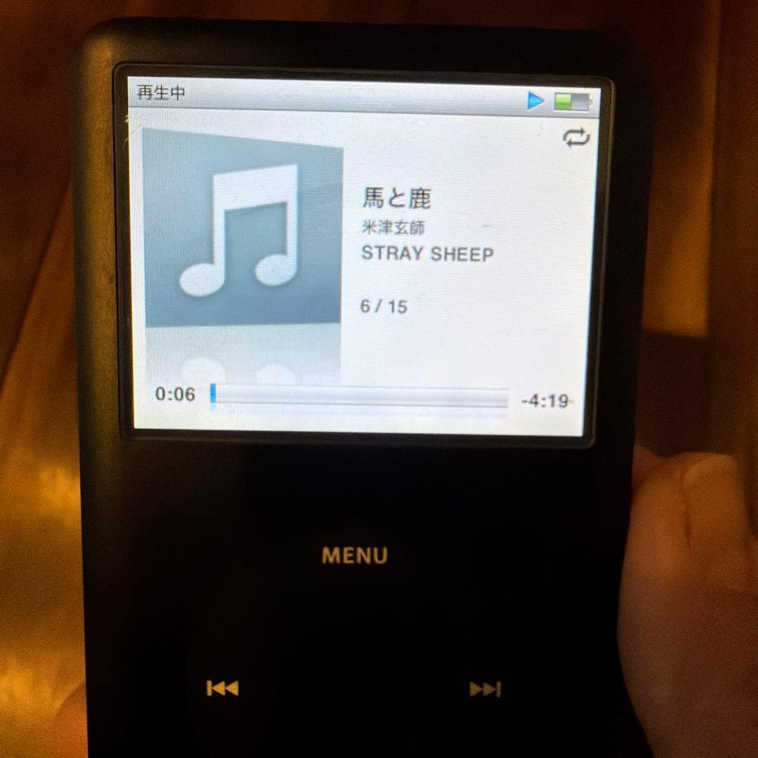 iPod A1238 Classic 80GB ケーブル付