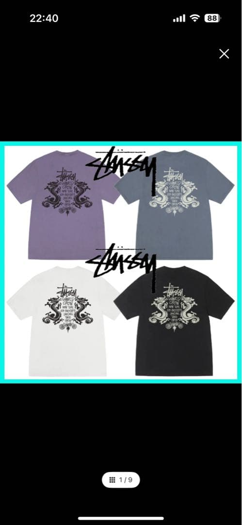STUSSY（ストゥーシー） 黒T