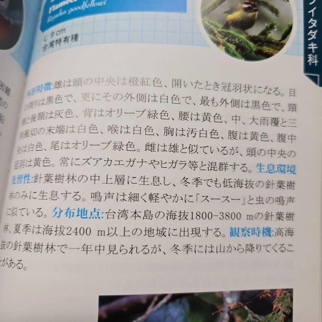 台灣の野鳥300図鑑
