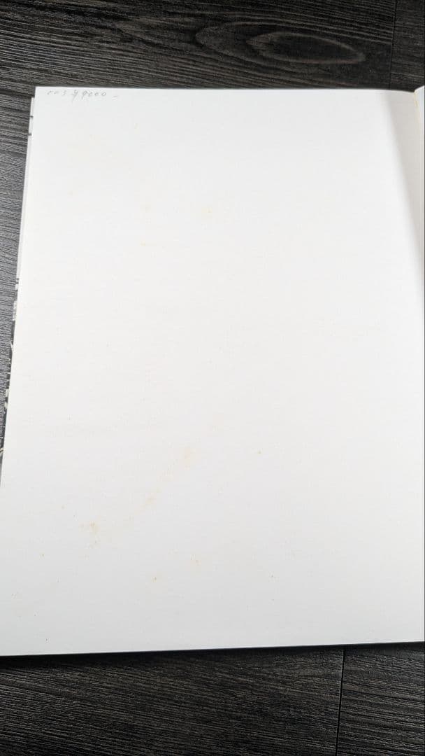 洋書　ジャスパー・ジョーンズ Jasper Johns The Seasons