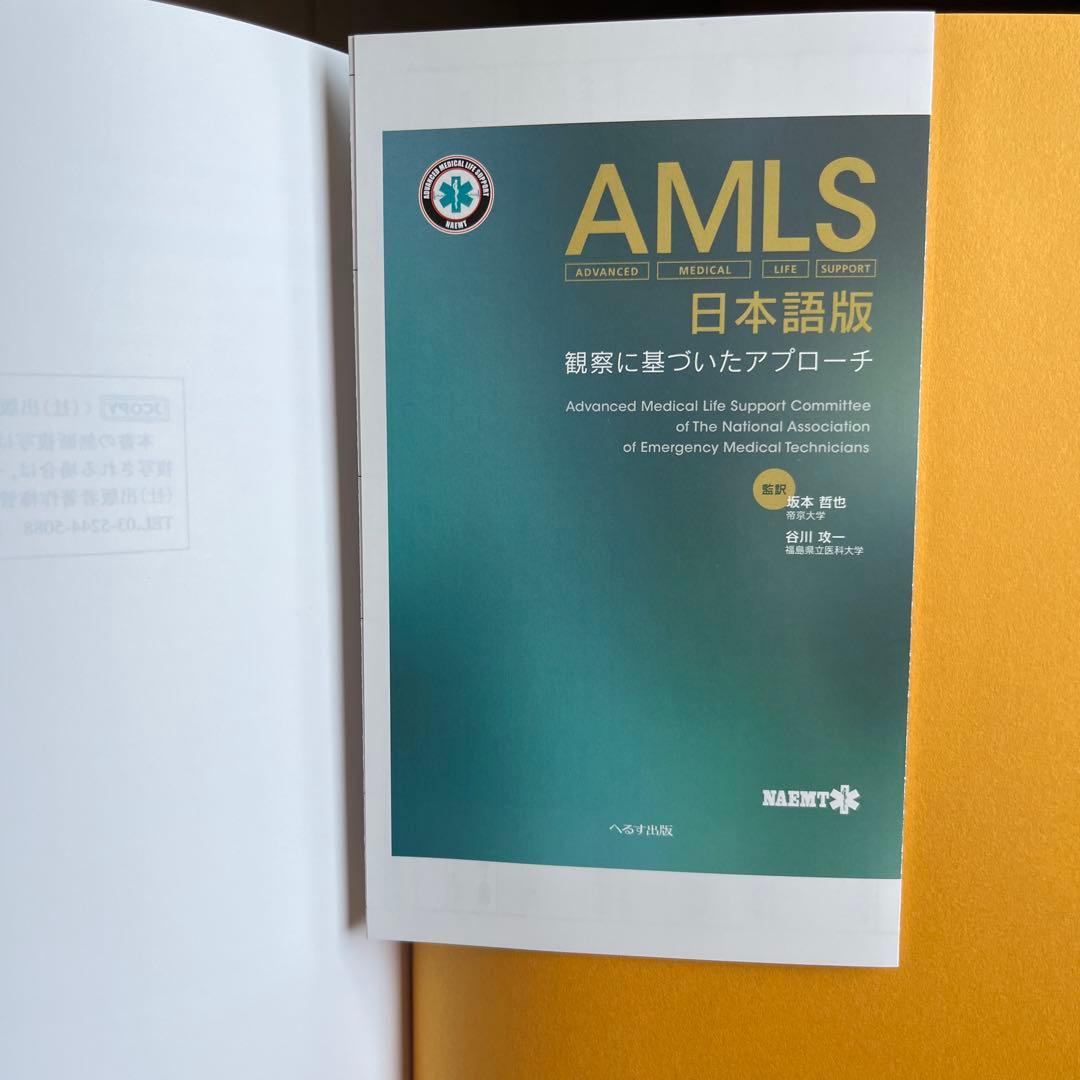AMLS日本語版 観察に基づいたアプローチ
