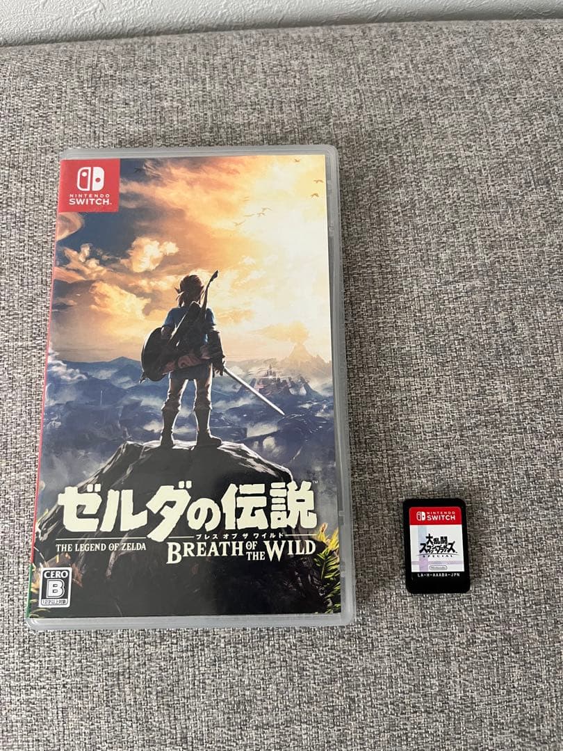 Nintendo Switch グレー 本体HAC-001 ➕カセット2点