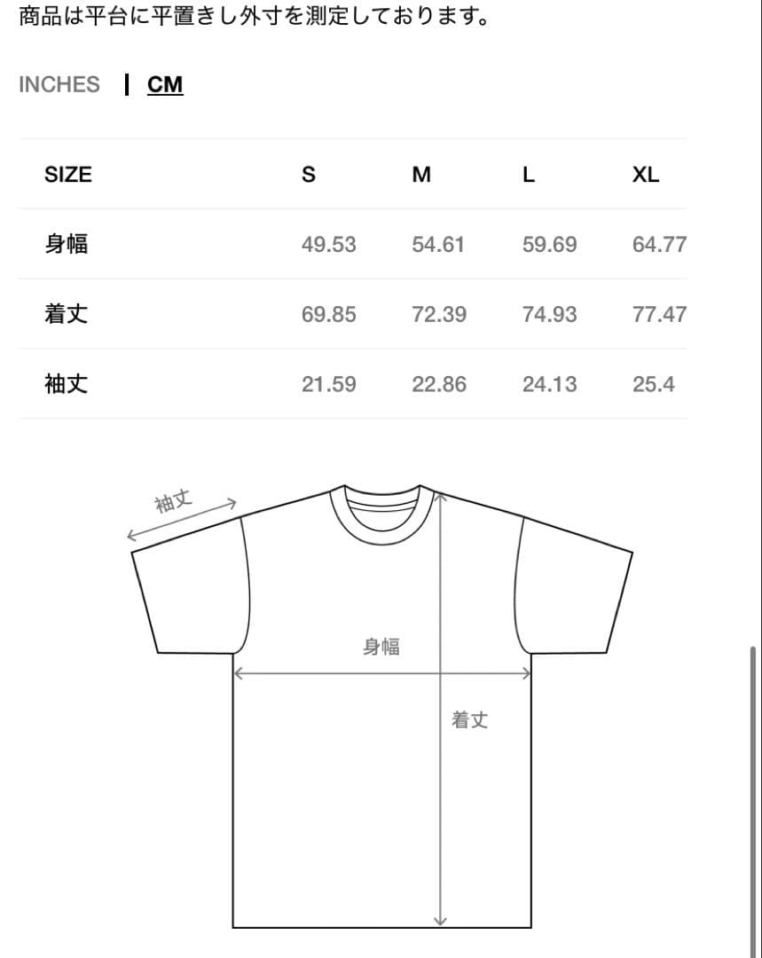【新品未使用】Stussy Paris Tee \"Natural\" サイズ:M