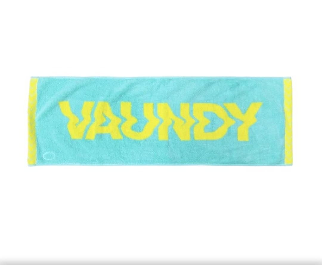 VAUNDY DOME TOUR2026 SILENCE 福岡限定 ロゴタオル