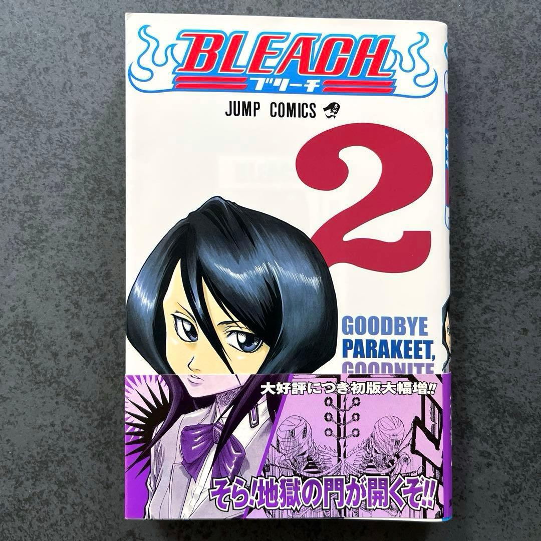 ✴︎初版帯付き✴︎BLEACH 1巻 2巻 久保帯人 チラシ付属 状態良好 美品