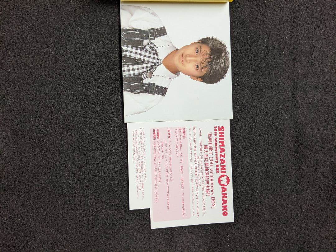 島崎和歌子　20th anniversary BOX　DVD　井上大輔　織田哲郎