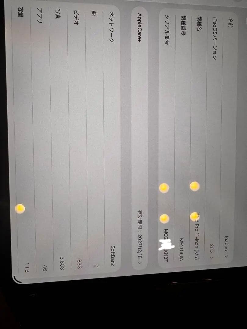 M5 iPad Pro 11インチ セルラー 1TB 標準ガラス