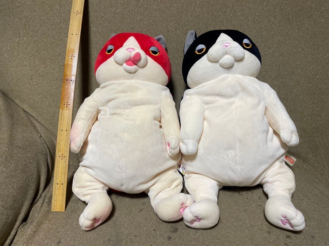 もちネコ　ナオル　シナダグローバル　 モチモチ　ぬいぐるみ　猫　5体セット