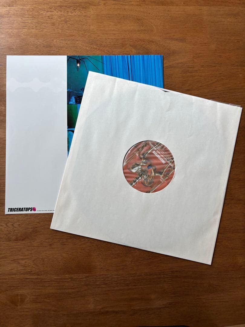 邦楽 THE GREAT SKELETON'S ~ / TRICERATOPS LP