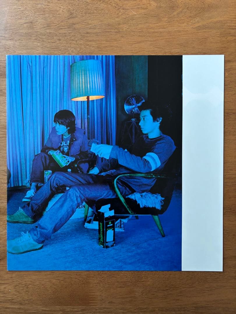 邦楽 THE GREAT SKELETON'S ~ / TRICERATOPS LP