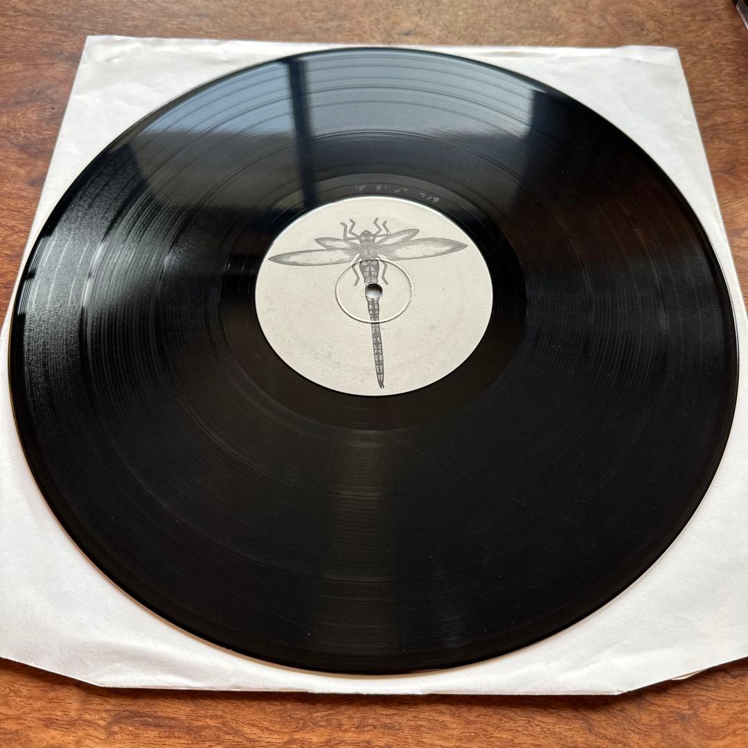 Order Odonata Vol. 1 Dragonfly サイトラ歴史的名盤