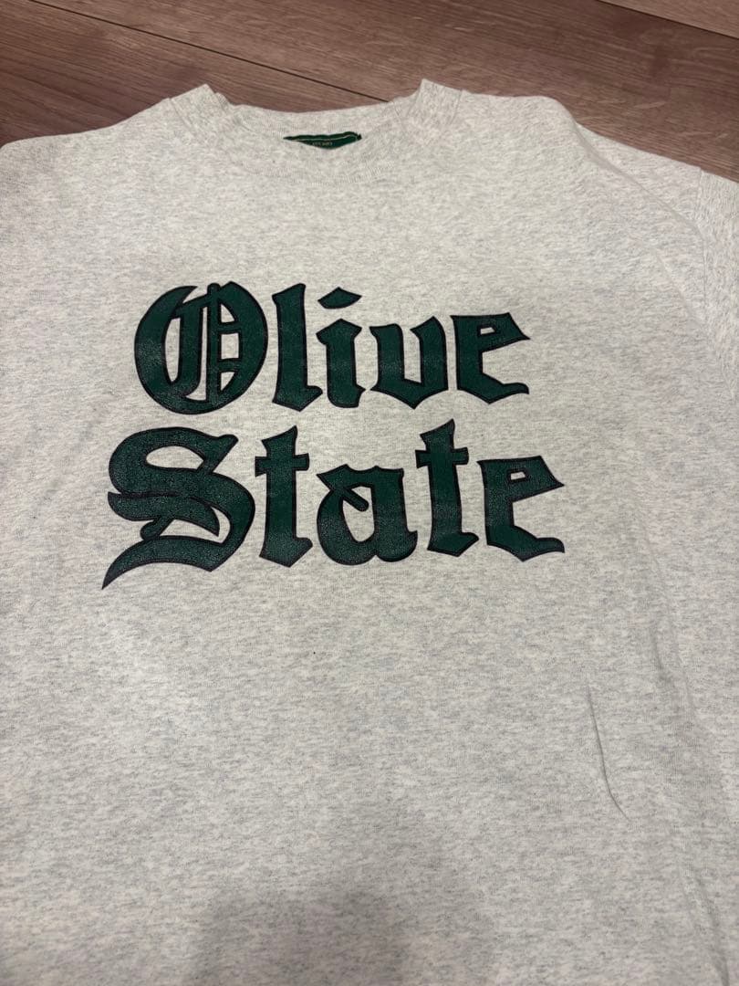 DIVIDED STATES OF OLIVE グレー Tシャツ Mサイズ