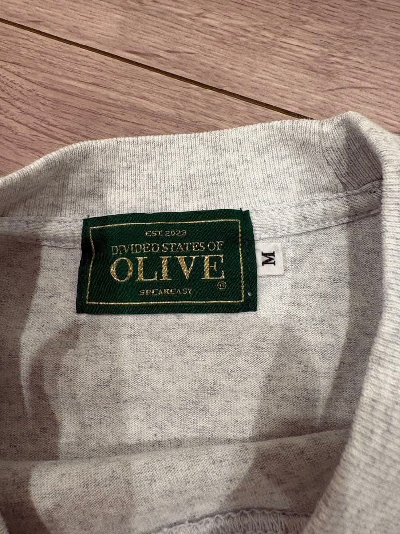 DIVIDED STATES OF OLIVE グレー Tシャツ Mサイズ