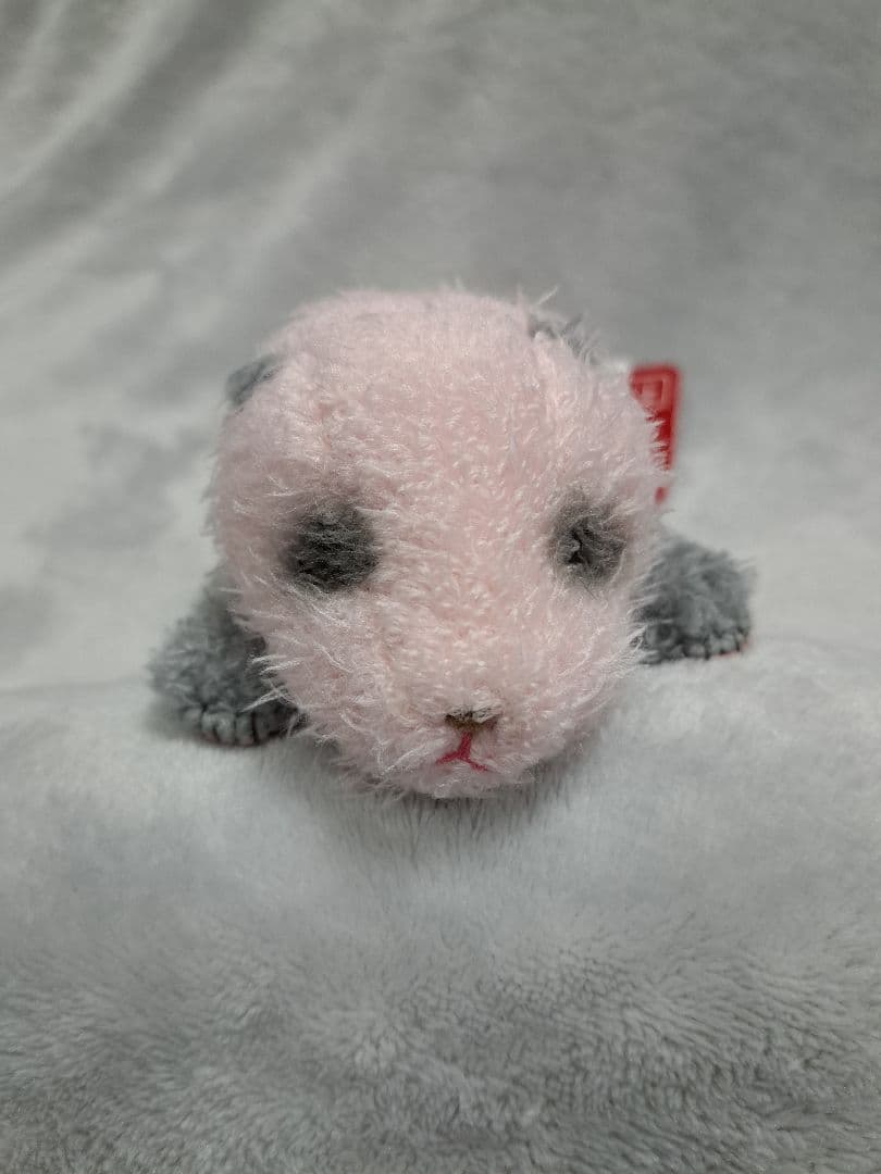 上野動物園 双子パンダシャオシャオレイレイぬいぐるみ【レイレイ】