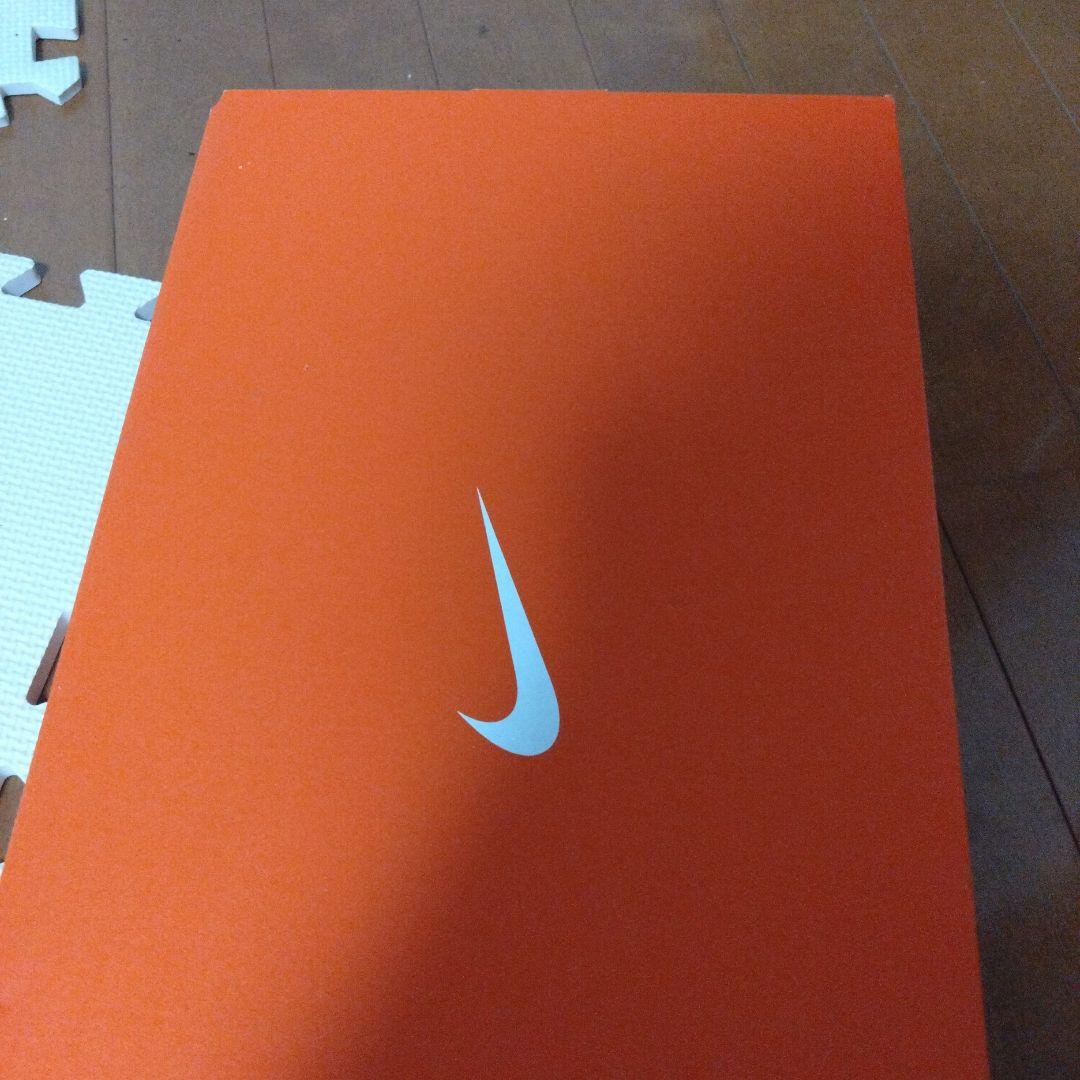 Nike ボクシングシューズ ホワイト/ゴールド