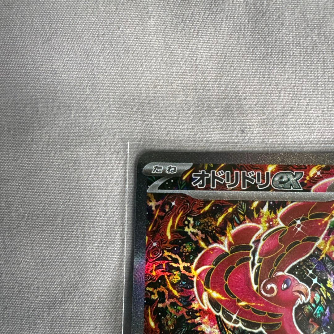 オドリドリEX sar