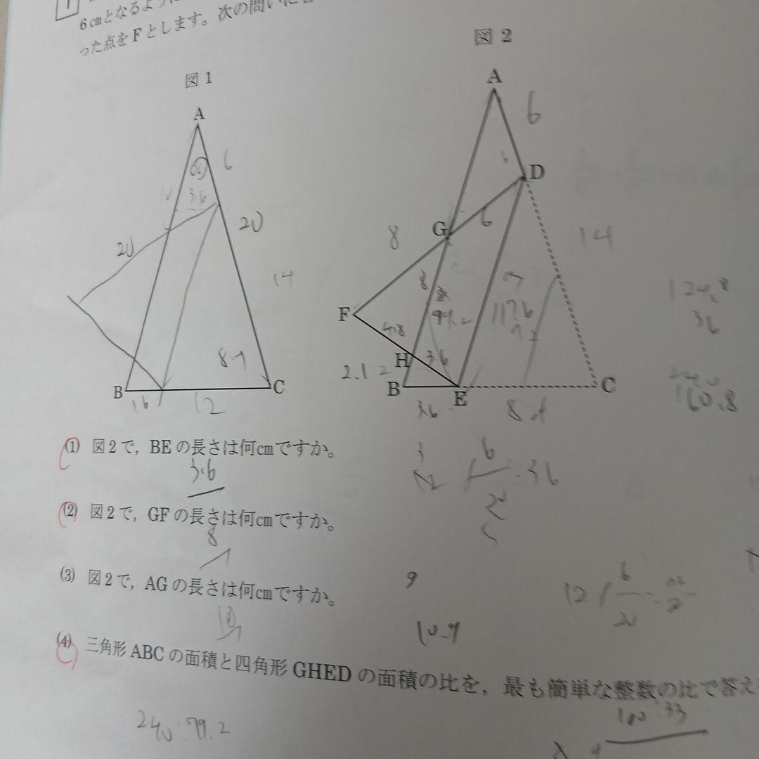 25年度早稲アカNN駒場東邦日曜講座後期4教科(26年入試用)