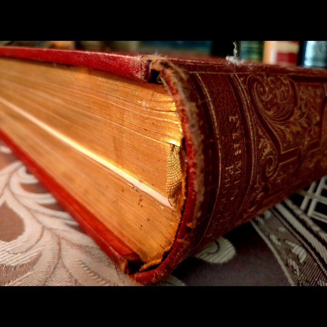 ⭐超希少⭐️２９cm【フランス製の古い洋書】革製の高級感ある洋古書 １冊