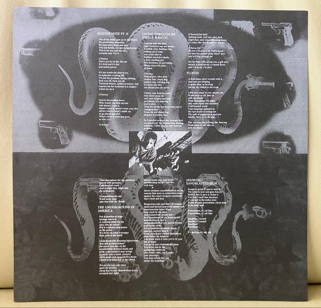 【美品•レア•LP】PANTERA- 邦題:鎌首 Color Vinylレコード