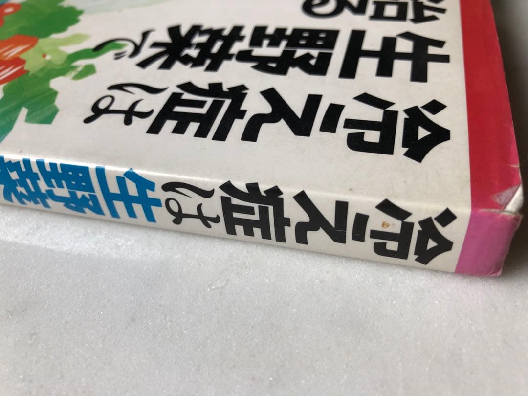 ＊稀少＊ 冷え症は生野菜で治る　甲田光雄 著