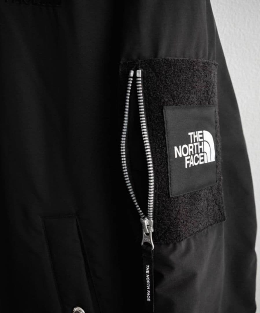 新作 THE NORTH FACE HAYDEN EX ヒート ボンバー L 黒