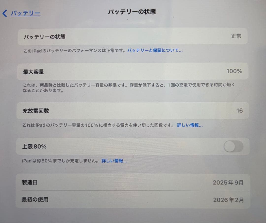 iPad本体 iPad mini A17 Pro 128GB Wi-Fi+Cellular