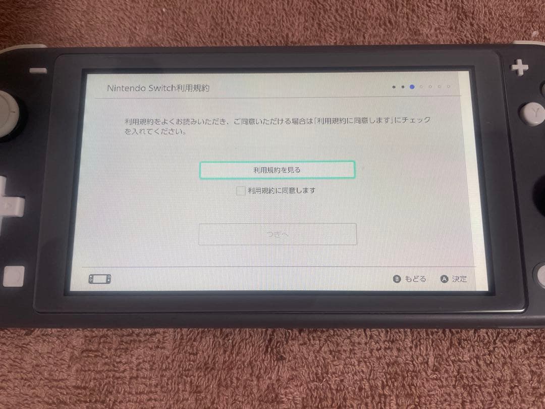 Nintendo Switch Lite グレー 本体 訳あり