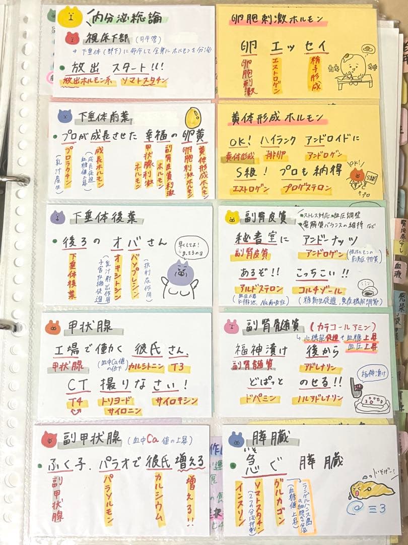 看護師国家試験 まとめノート 対策 カード 付箋ノート 国試 看護 合格