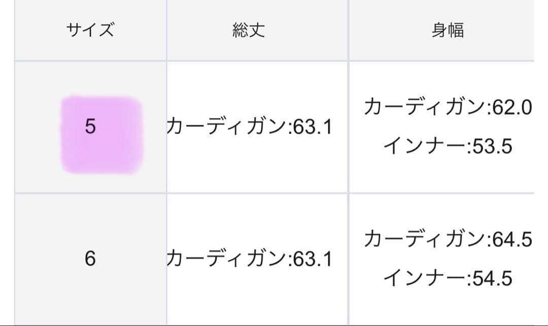 組曲　大きいサイズ　新品未使用【2SET・WEB限定】秋冬用アンサンブル