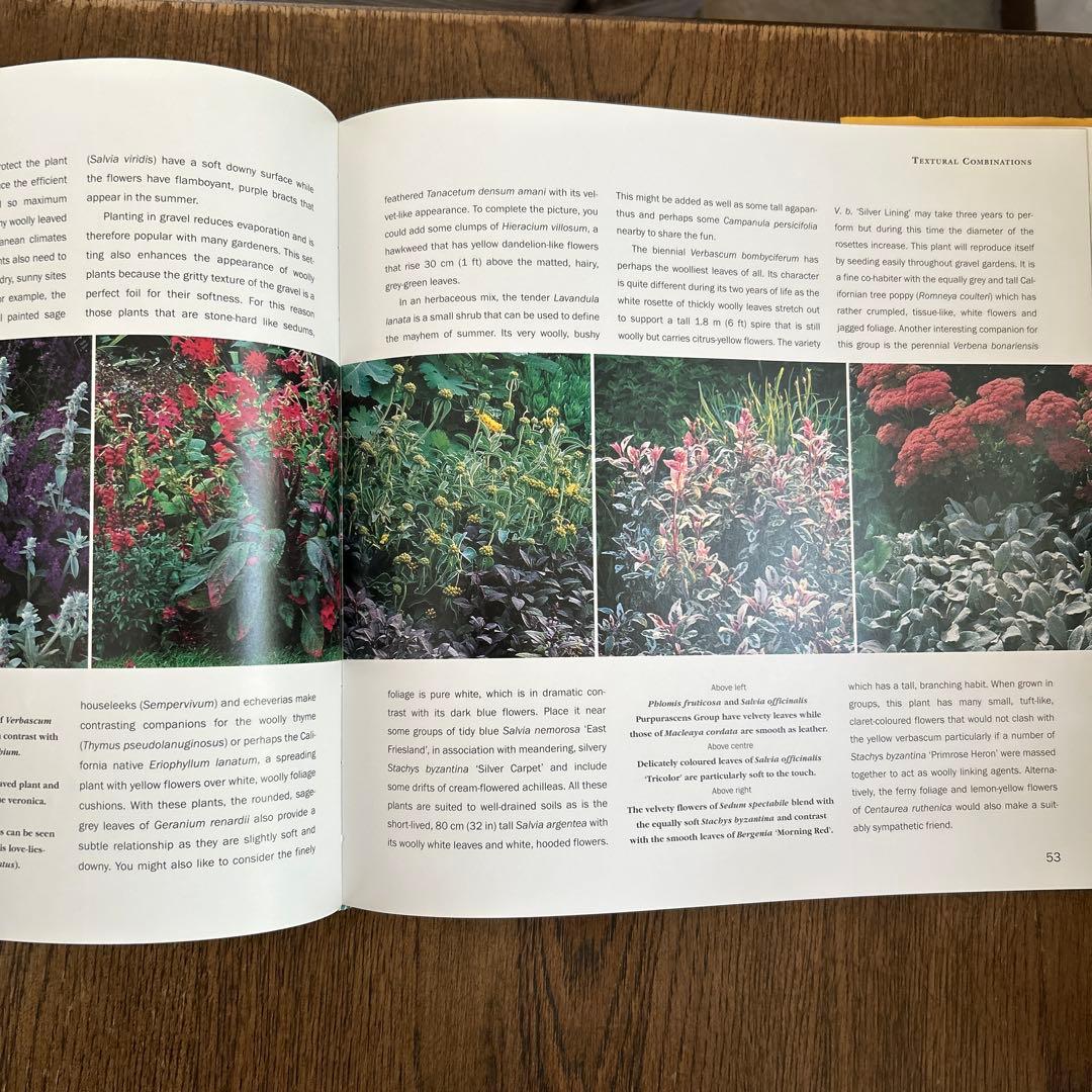 洋書　Planting Companions