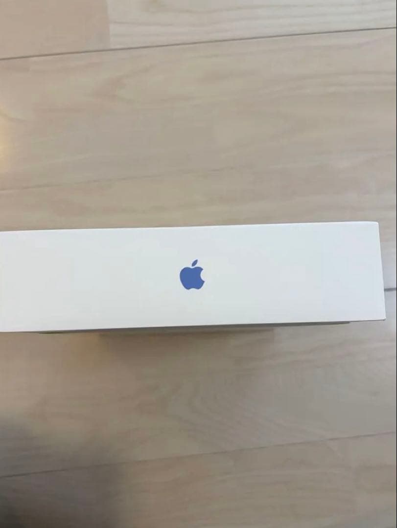 新品未開封 Apple iPad A16 ブルー 128GB