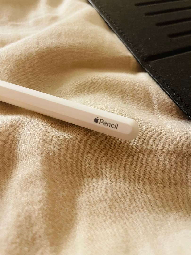 Apple iPad Pro 11インチ　2018 Apple Pencil付属
