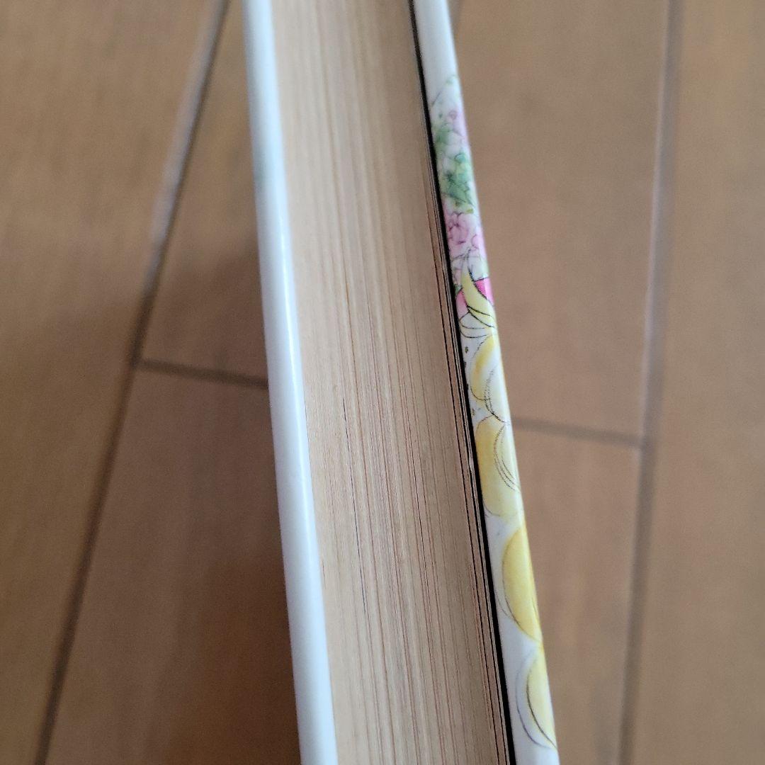 小説 キャンディ♡キャンディ