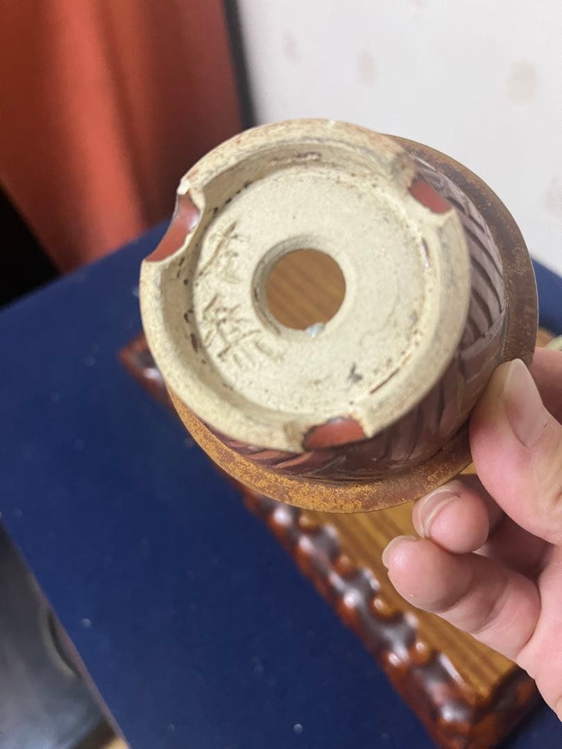 389 盆栽　盆栽鉢　植木鉢　和鉢　左楽　4鉢