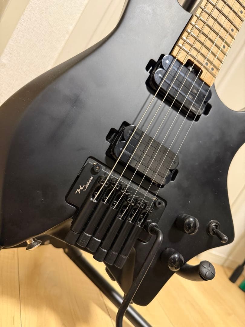 HEX Guitars N500P Black エレキギター