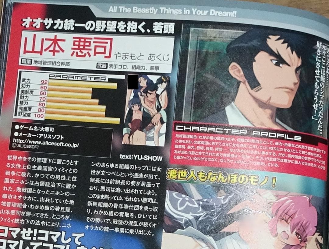 鬼畜ゲーム大全 完全保存版: 美少女ゲームの鬼畜キャラが大集合!!