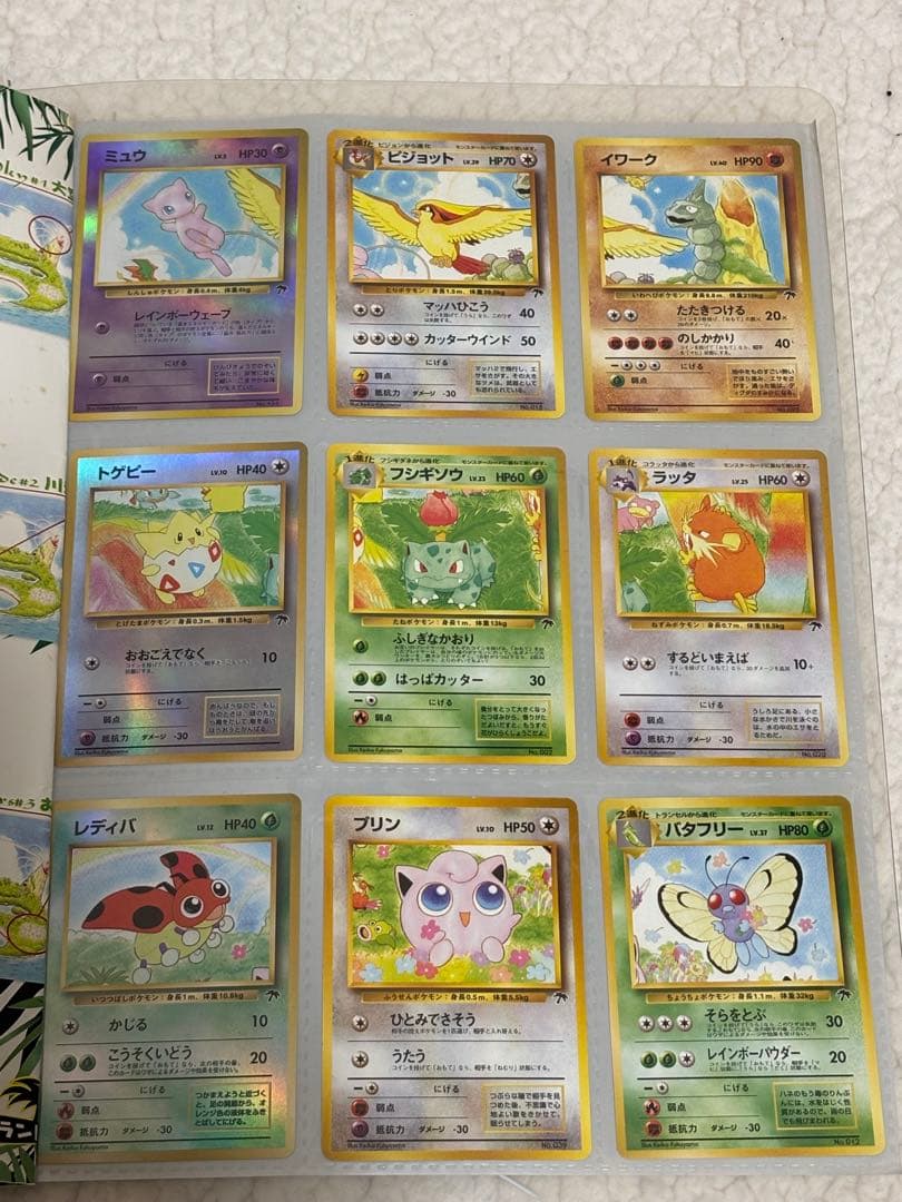 ポケモンカード　トロピカルアイランド　レインボーアイランド　2点セット