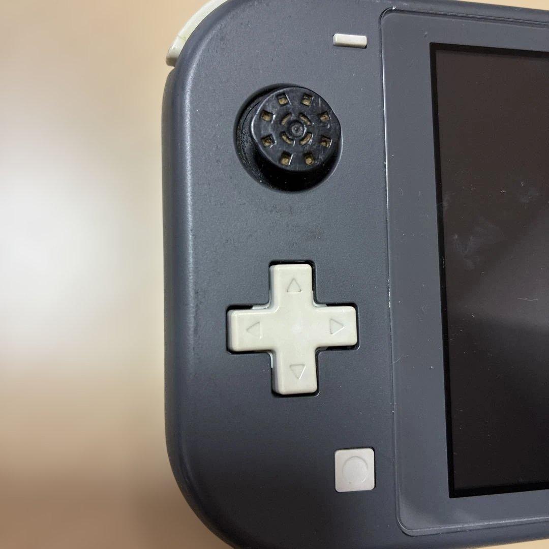 Nintendo Switch Lite ジャンク　ブルー画面