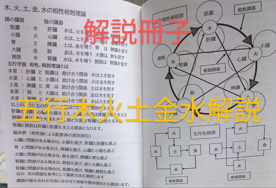 Bc耳臨床54例集+臓器躯体ラミネート加工+解説プリント13set