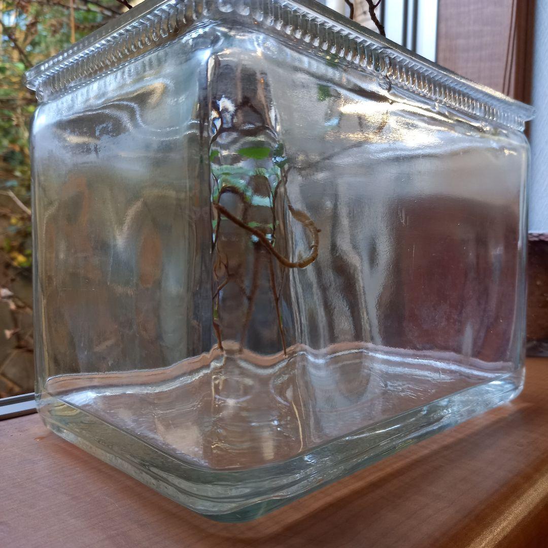 アンティーク　ガラスの水槽
