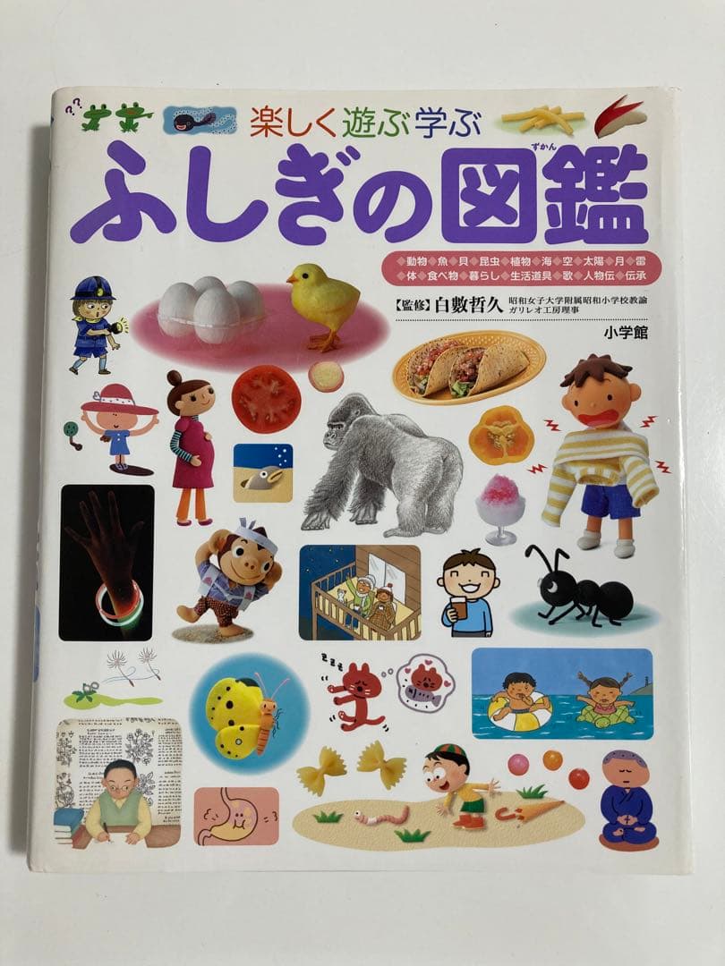 《14冊セット》小学館の図鑑NEO 小学館の子ども図鑑プレ図鑑NEO 調べ学習
