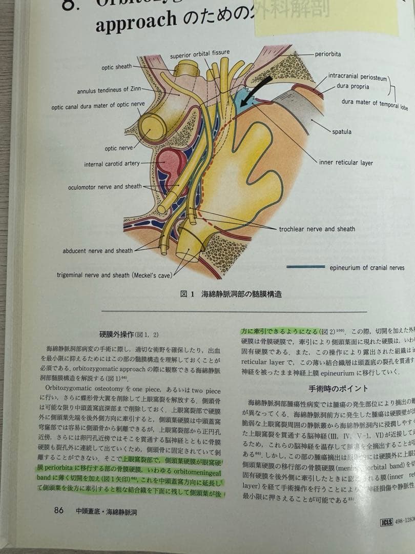 手術のための脳神経解剖学