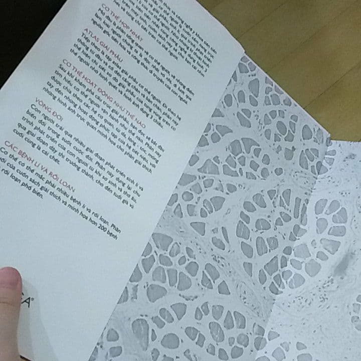洋書 Body Atlas (Vietnamese book)