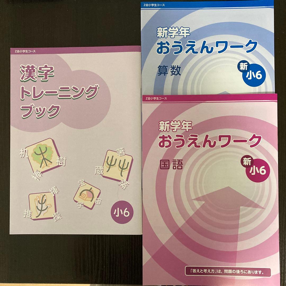 Z会 エブリスタディ 適性検査 小6 公立中高一貫 一年分セット