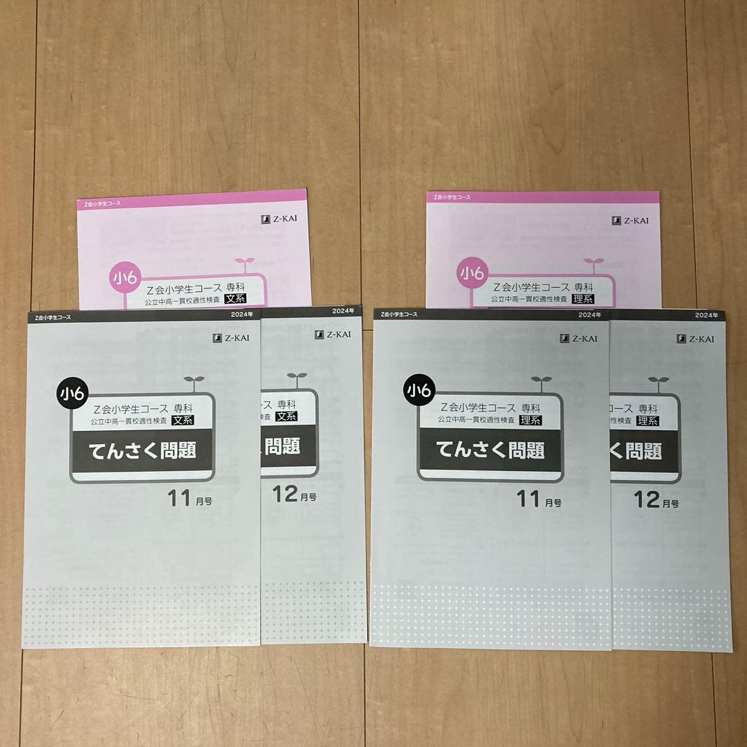 Z会 エブリスタディ 適性検査 小6 公立中高一貫 一年分セット