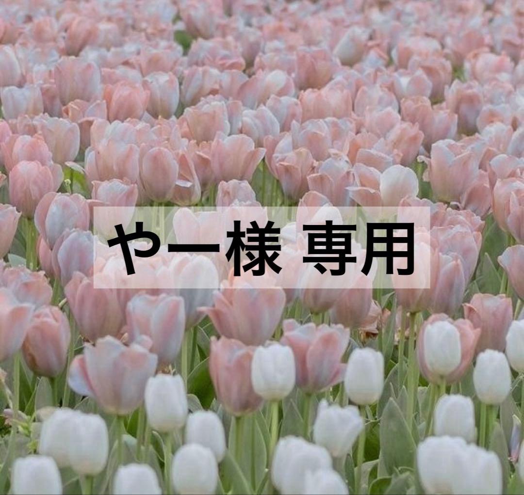 【やー】
