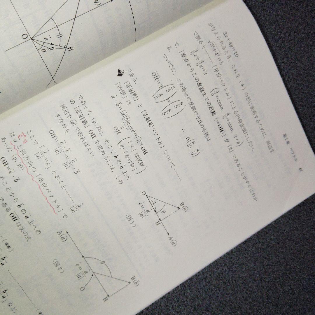 入試数学 諸橋の代数・幾何講義　諸橋実　1990年発行初版　河合塾シリーズ　絶版